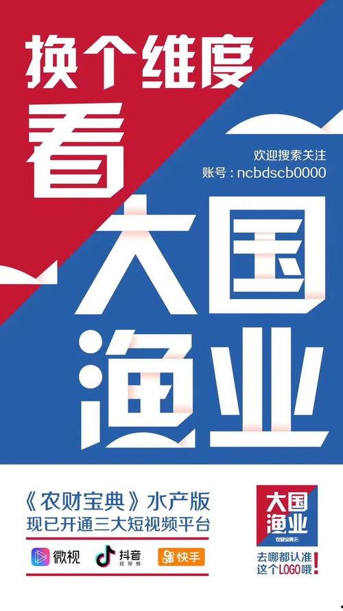 中国网红新闻爆料视频大全,中国热门新闻视频大盘点  第3张